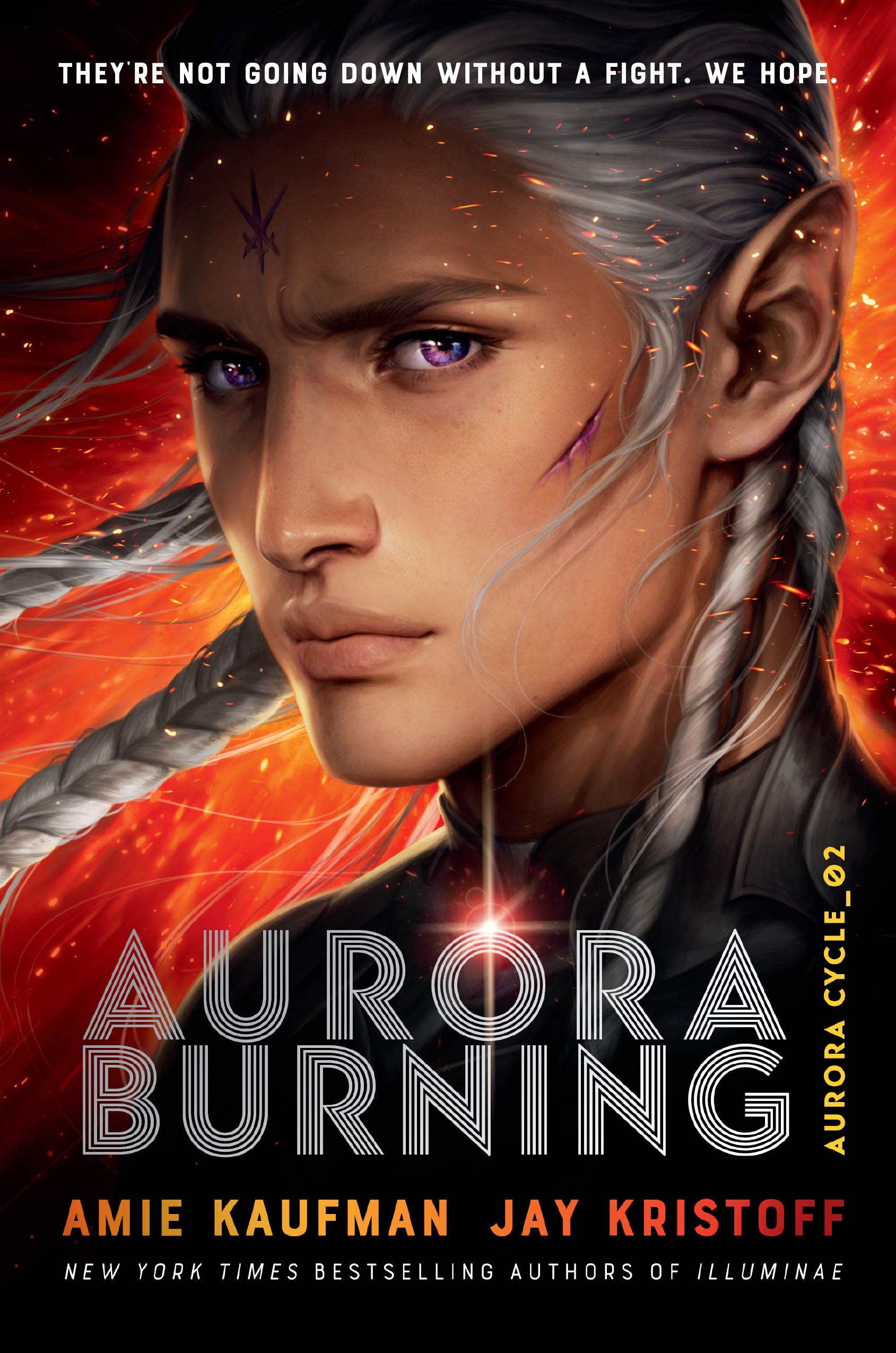 Aurora Burning: The Aurora Cycle 2