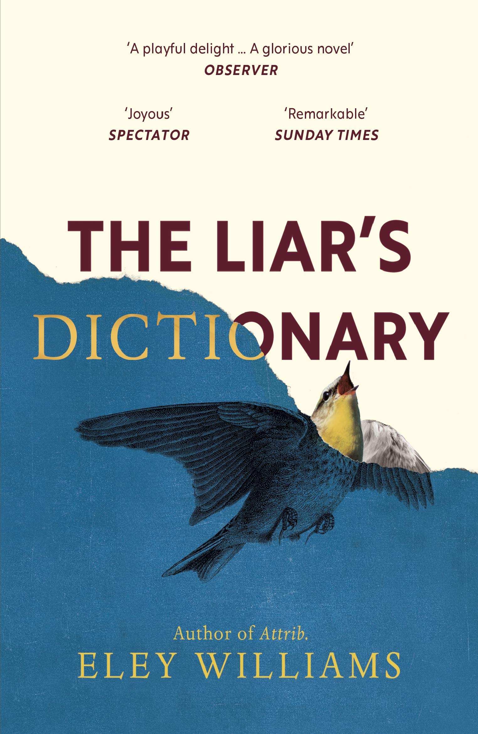 The Liar's Dictionary: A winner of the 2021 Betty Trask Awards