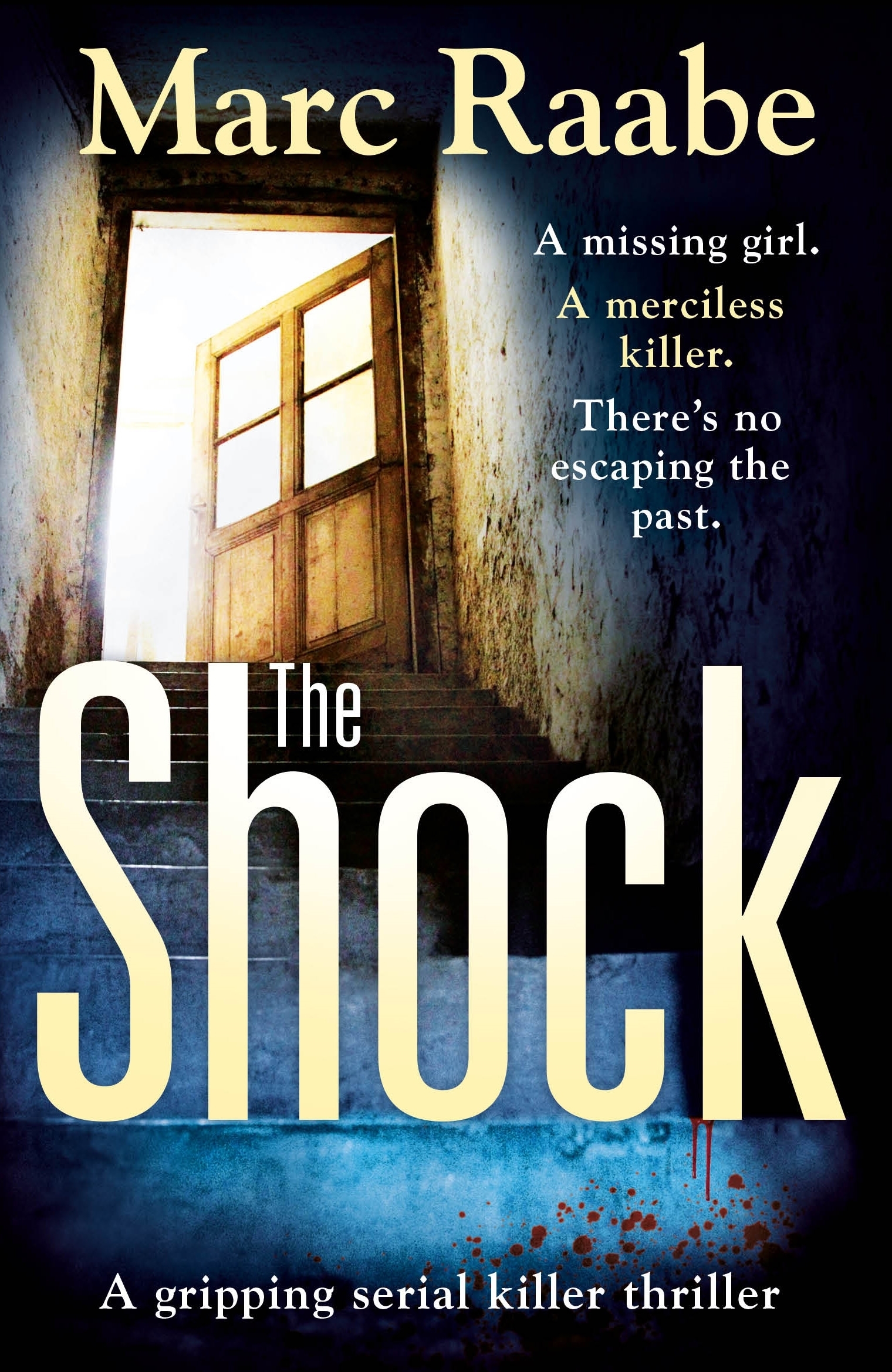 The Shock: A disturbing thriller for fans of Jeffery Deaver
