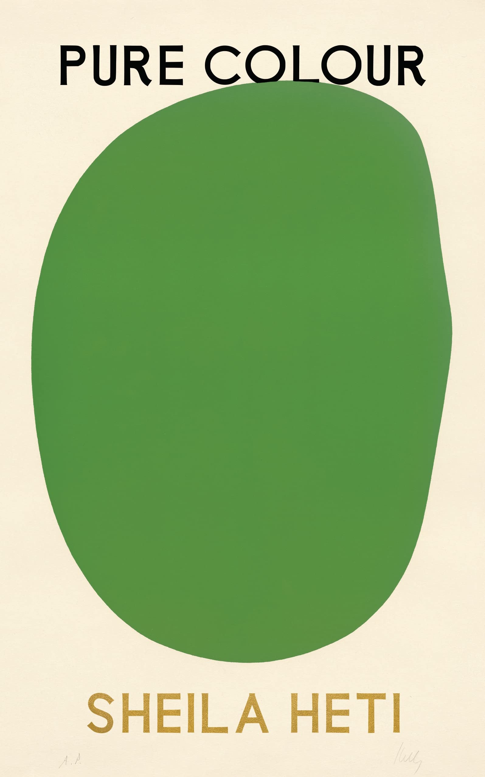 Pure Colour: the new novel from the author of Motherhood and How Should A Person Be?