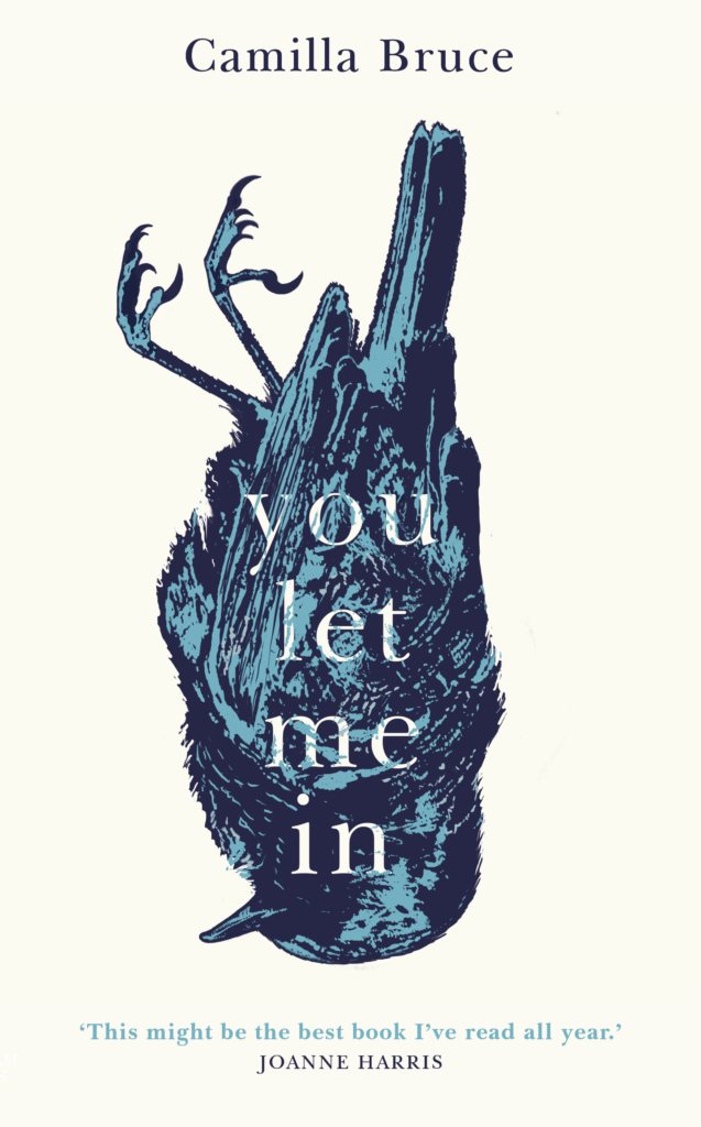You Let Me In: The acclaimed, unsettling novel of haunted love, revenge and the nature of truth
