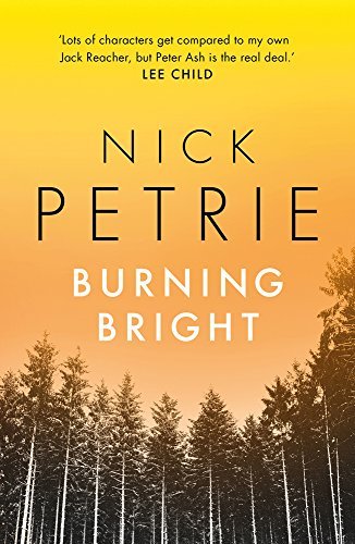 Burning Bright (Ash, Band 2)