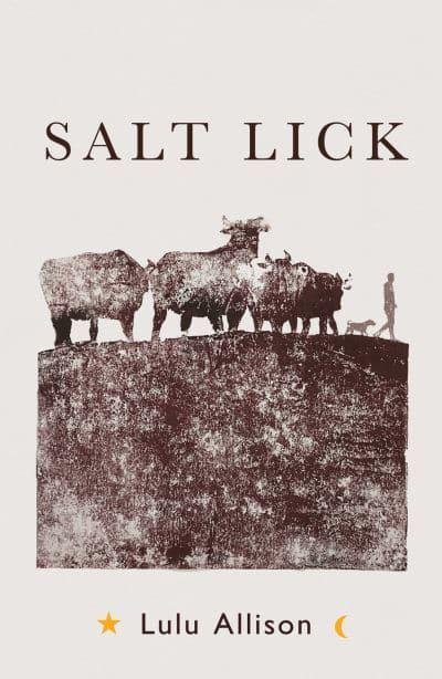 Salt Lick: Longlisted for the Women's Prize for Fiction 2022