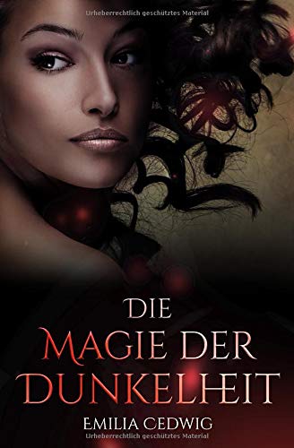 Die Magie der Dunkelheit (DreiKönigsSaga, Band 2)