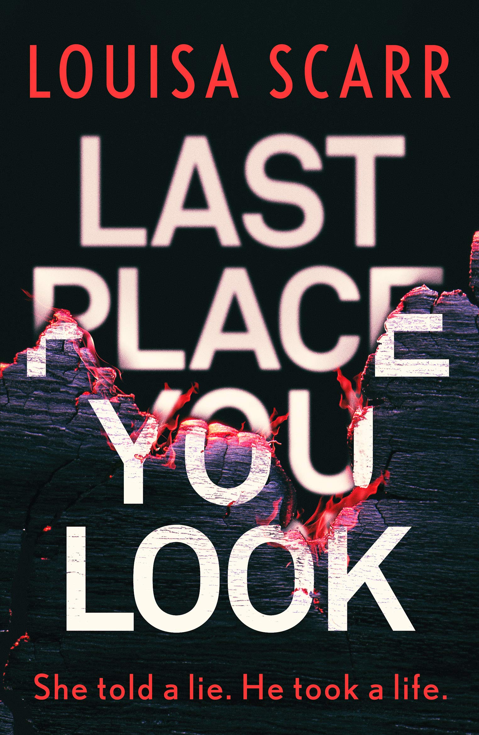 Last Place You Look: A gripping police procedural crime thriller (Butler & West, Band 1)