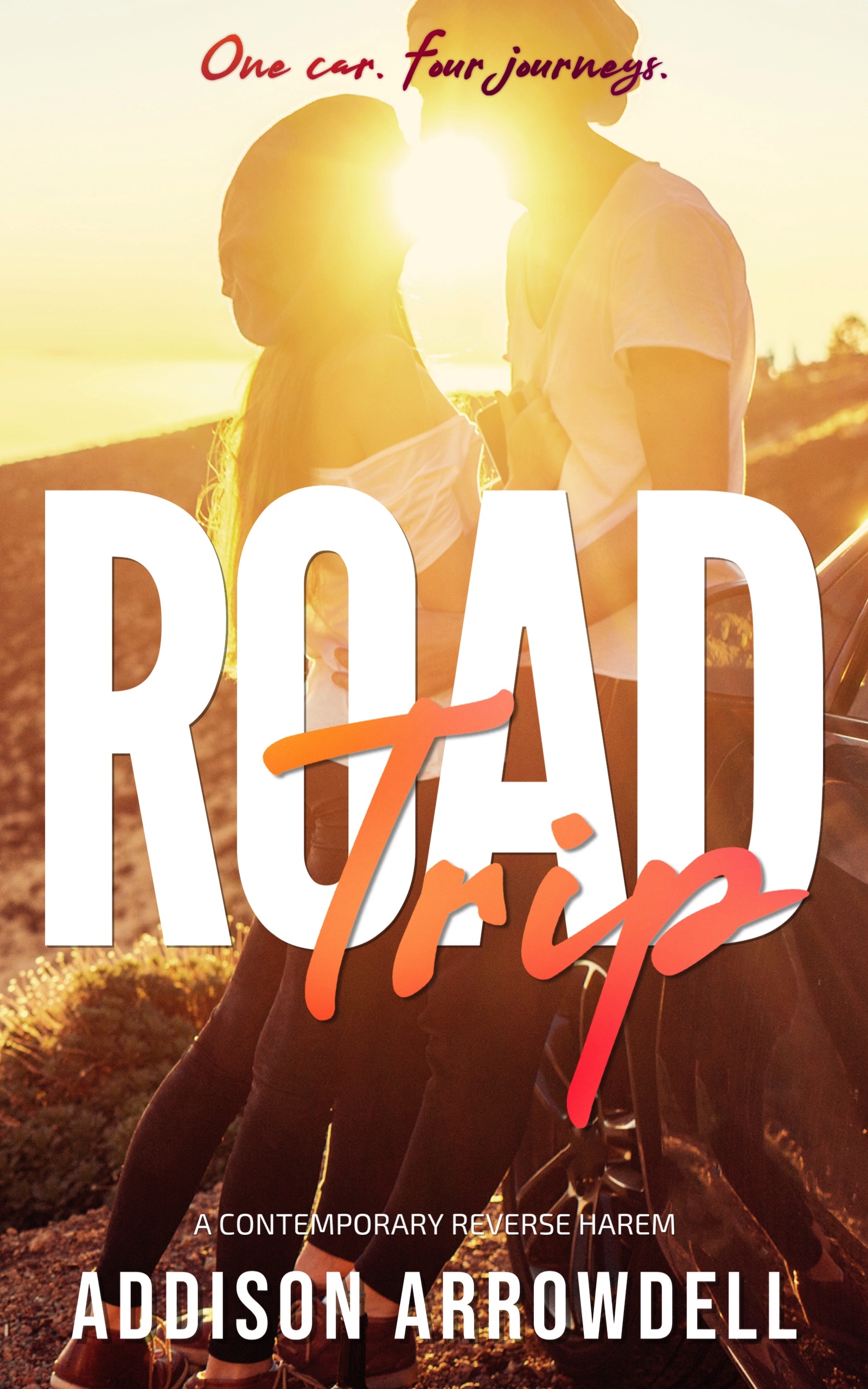 Road Trip: A Contemporary Reverse Harem