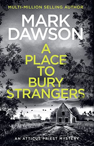 A Place to Bury Strangers (Atticus Priest)