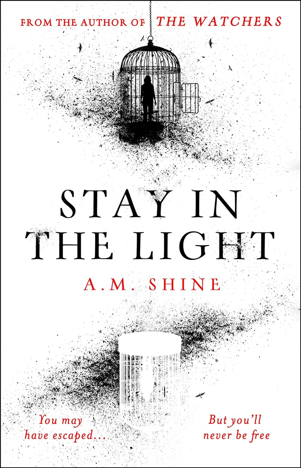 Stay in the Light: the chilling sequel to hit horror novel THE WATCHERS