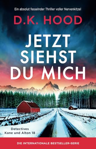 Jetzt siehst du mich: Ein absolut fesselnder Thriller voller Nervenkitzel (Detectives Kane und Alton, Band 18)