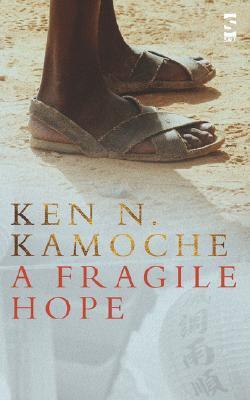 A Fragile Hope (Salt Modern Fiction S.)