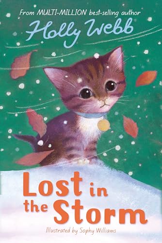 Lost in the Storm (Holly Webb: Animal Stories, Band 3)