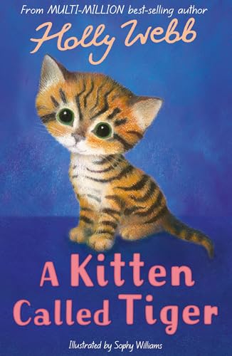 A Kitten Called Tiger: 37 (Holly Webb Animal Stories, 37)