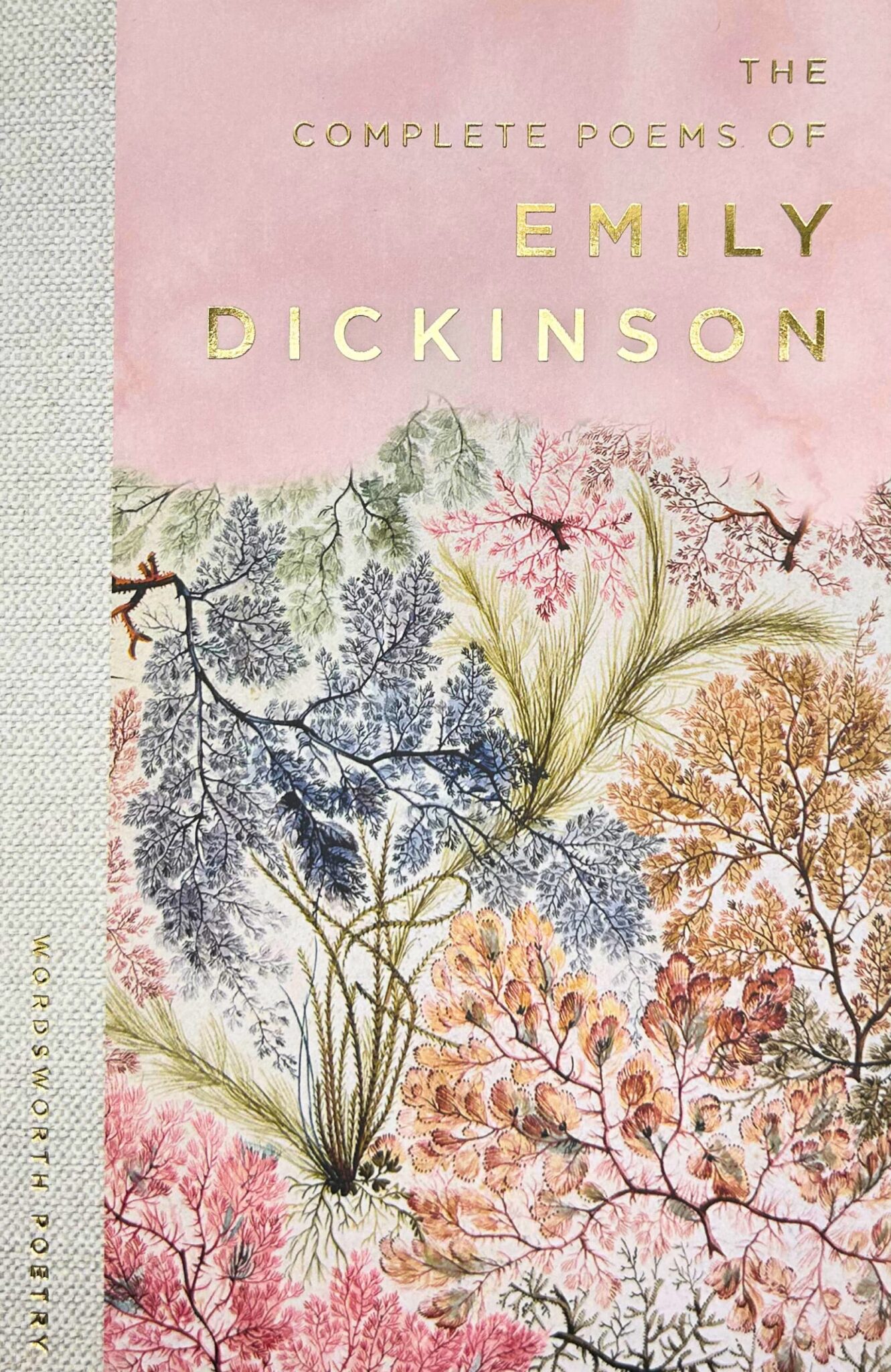 The Works of Emily Dickinson (Wordsworth Collection)