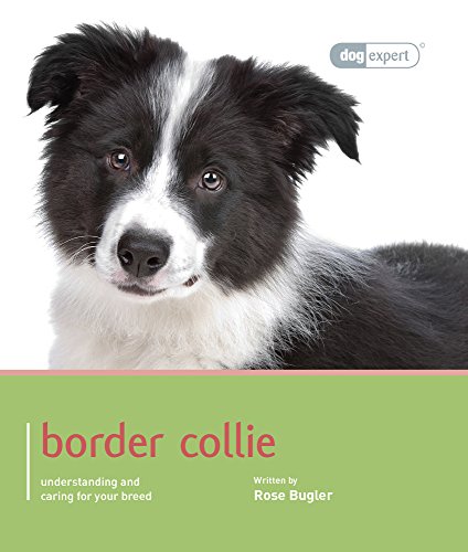 Border Collie (Dog Expert)