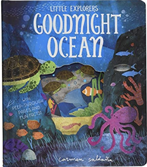 Goodnight Ocean (Little Explorers)