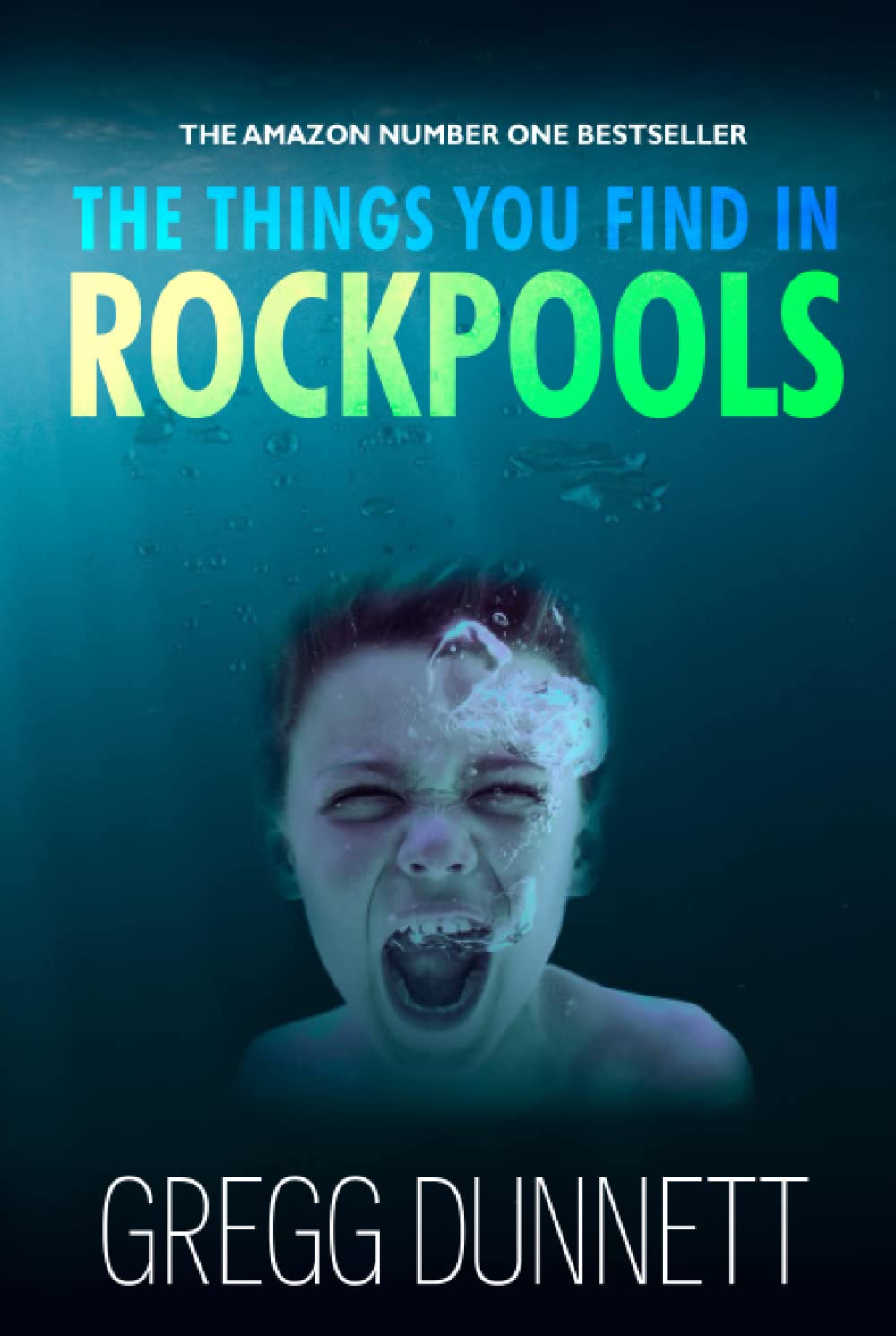 The Things you find in Rockpools: A psychological Mystery and Suspense Thriller