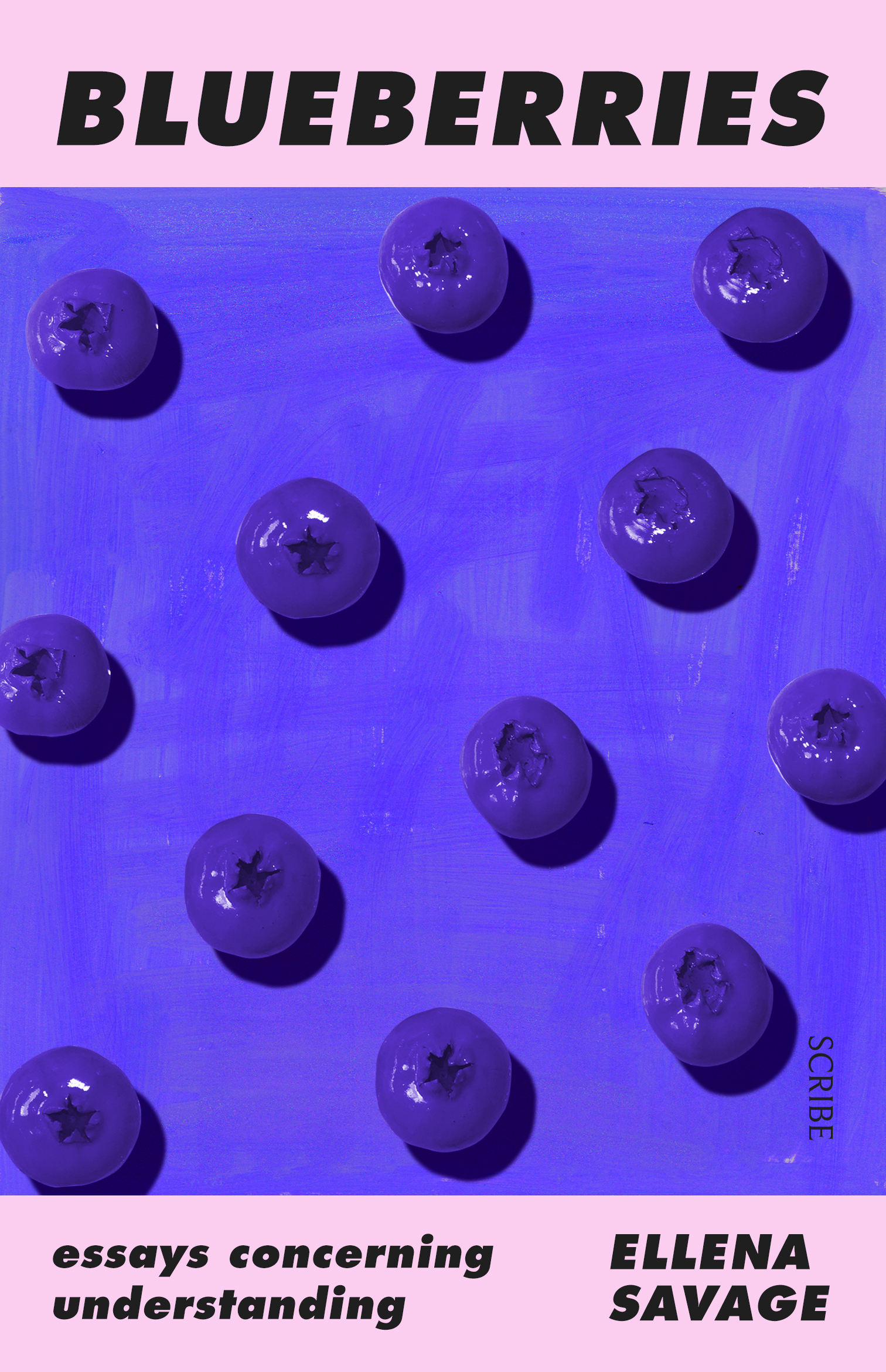 Blueberries: Essays concerning understanding