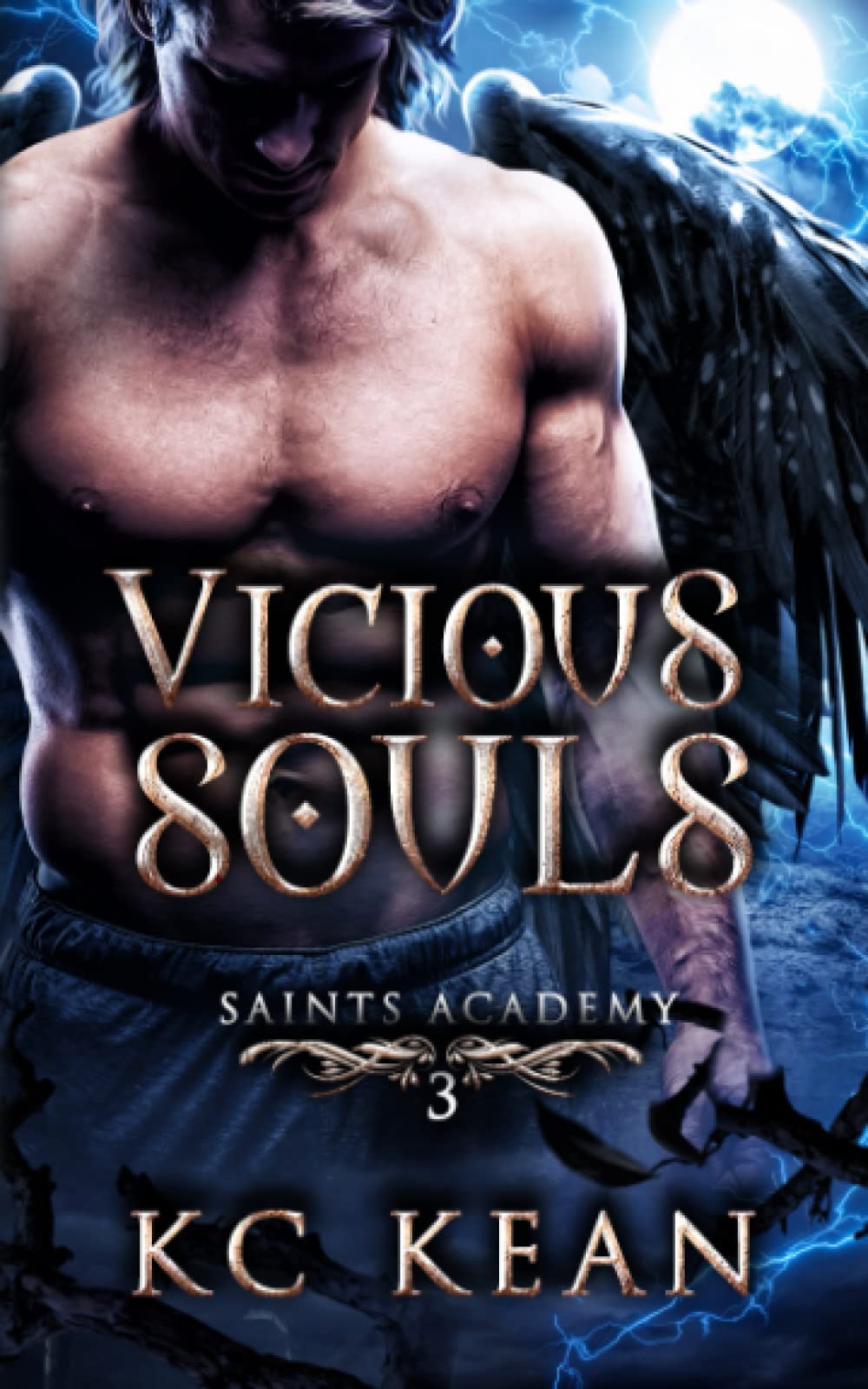 Vicious Souls (Saints Academy, Band 3)