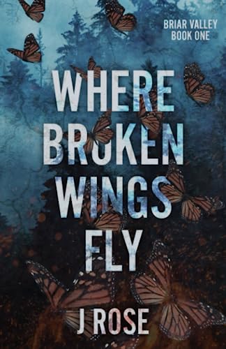 Where Broken Wings Fly: A Small Town Reverse Harem Romance (Briar Valley, Band 1)