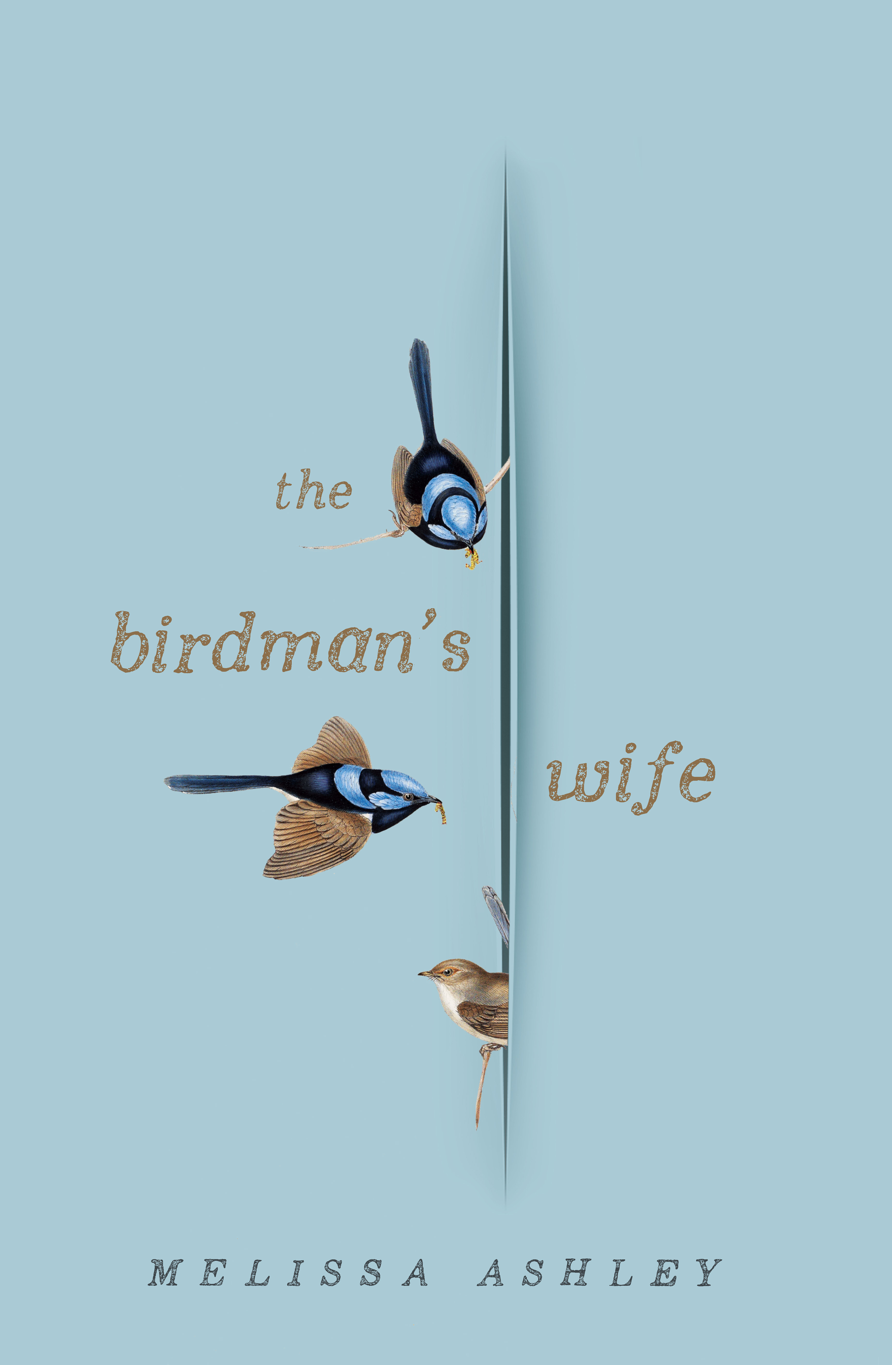 The Birdman's Wife
