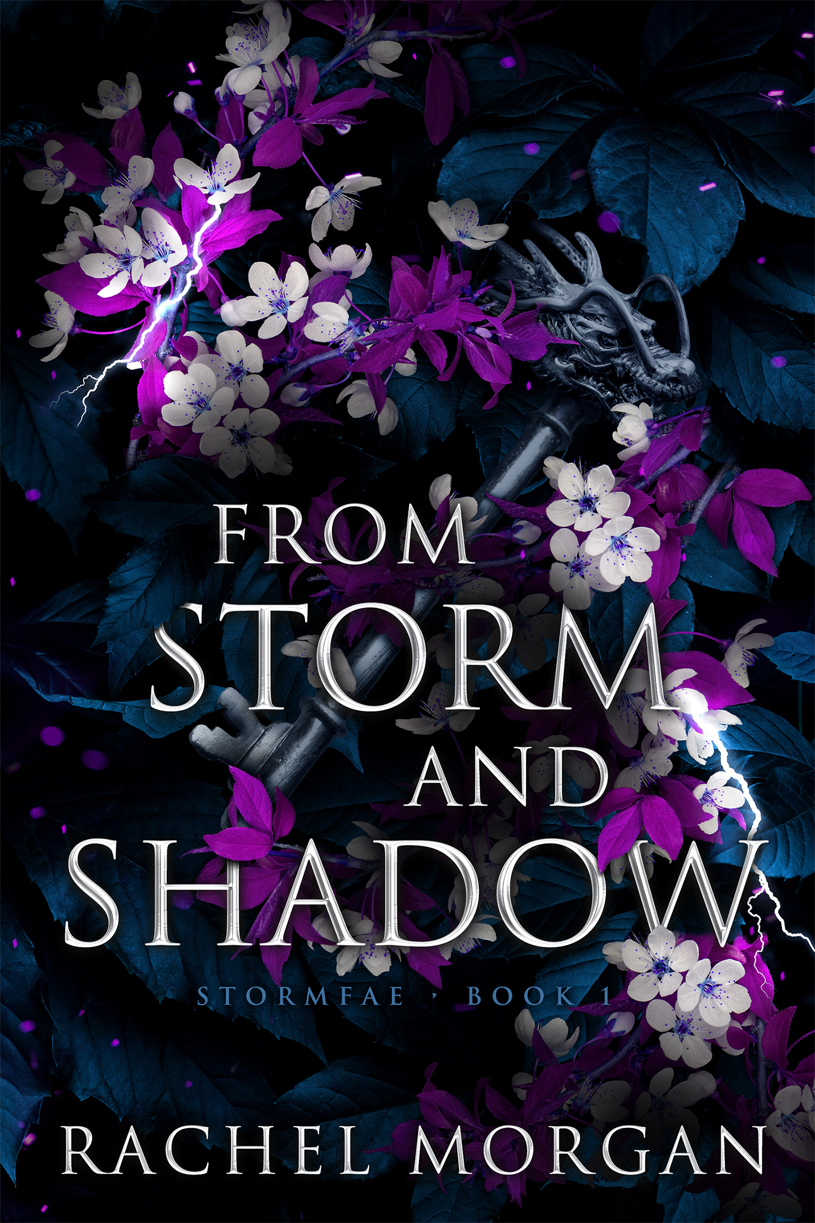 From Storm and Shadow (Stormfae, Band 1)