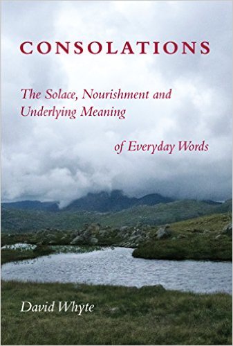 Consolations: The Solace, Nourishment, and the Underlying Meaning of Everyday Words: The Solace, Nourishment and Underlying Meaning of Everyday Words