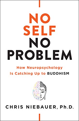 No Self, No Problem: How Neuropsychology is Catching Up to Buddhism (The No Self Wisdom)