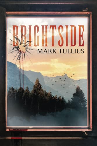 Brightside: Ein psychologischer Thriller (Brightside Saga, Band 1)
