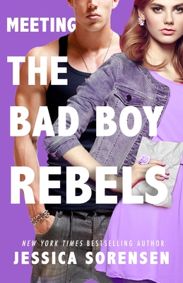 Meeting the Bad Boy Rebels (The Undercover Files, Band 1)