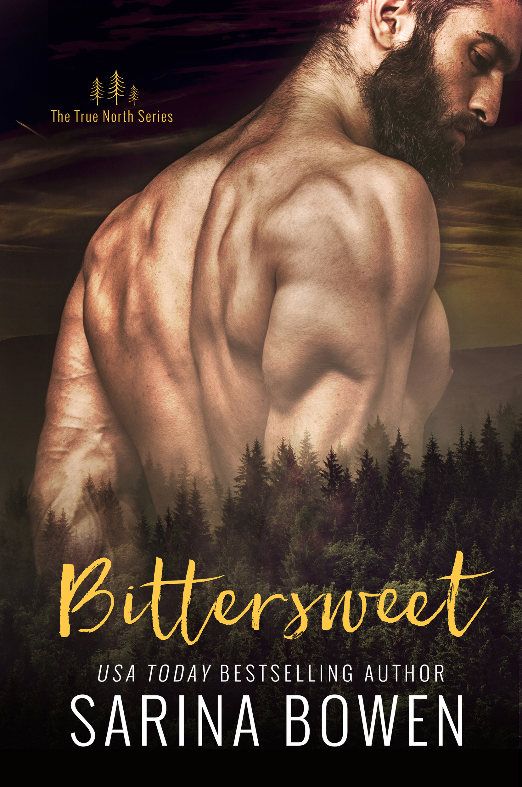 Bittersweet (True North: Small Town Romance, Band 1)