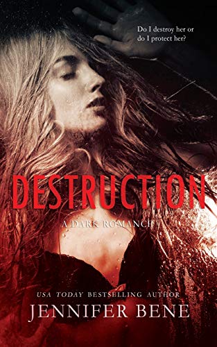 Destruction (Fragile Ties Series, Band 1)