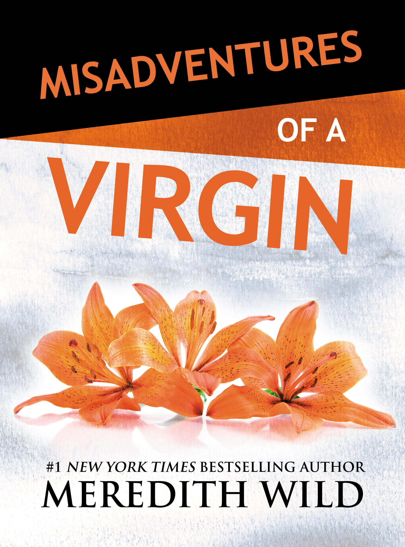 Misadventures of a Virgin: Volume 2 (Misadventures (2), Band 2)