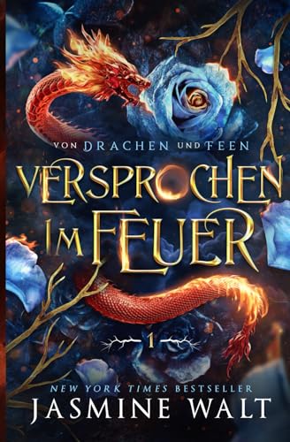 Versprochen im Feuer (Von Drachen und Feen, Band 1)