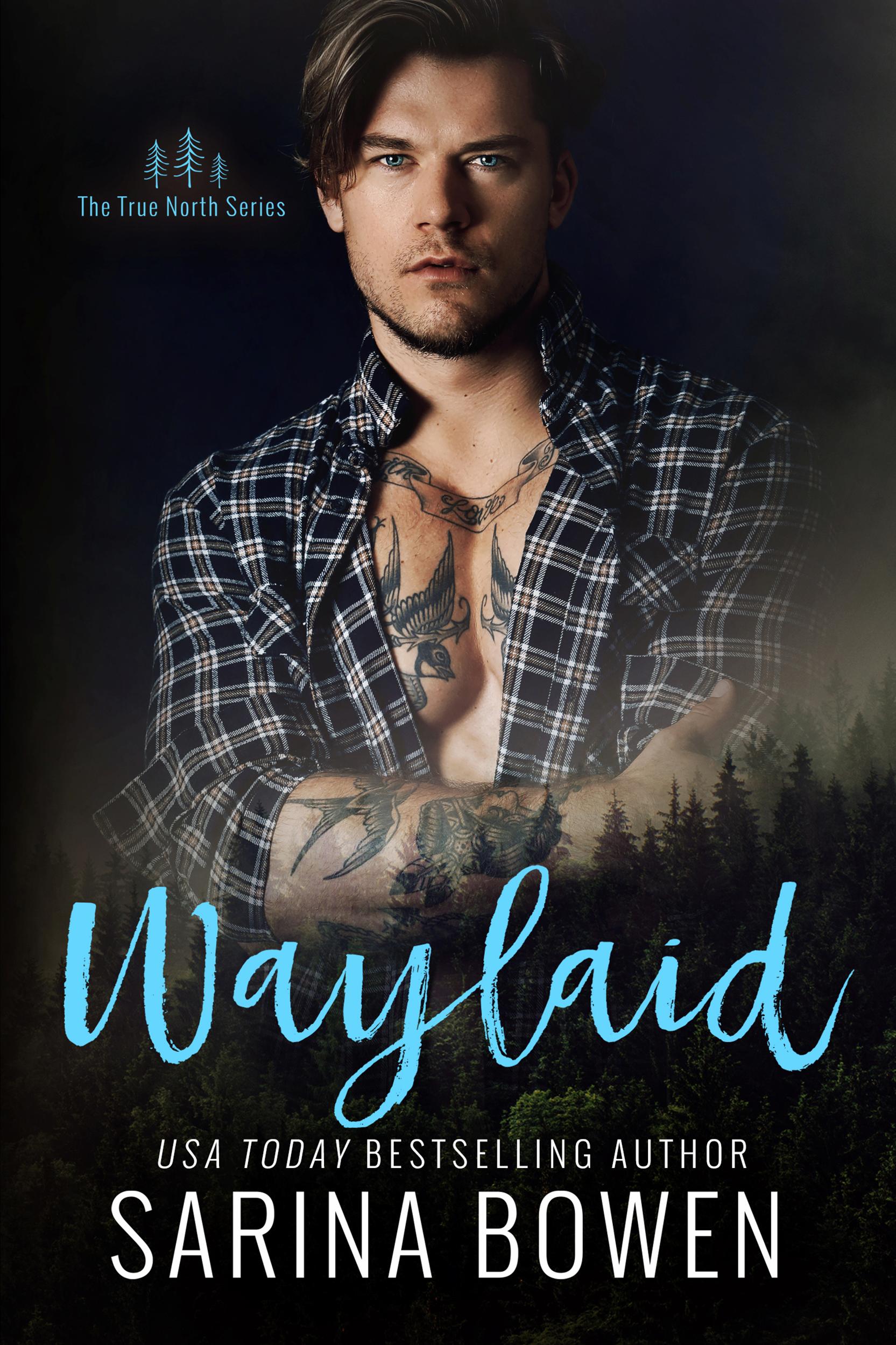Waylaid (True North, Band 8)