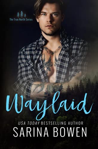 Waylaid (True North, Band 8)