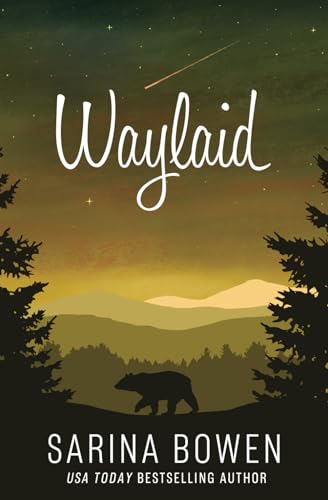 Waylaid (True North: Small Town Romance, Band 8)
