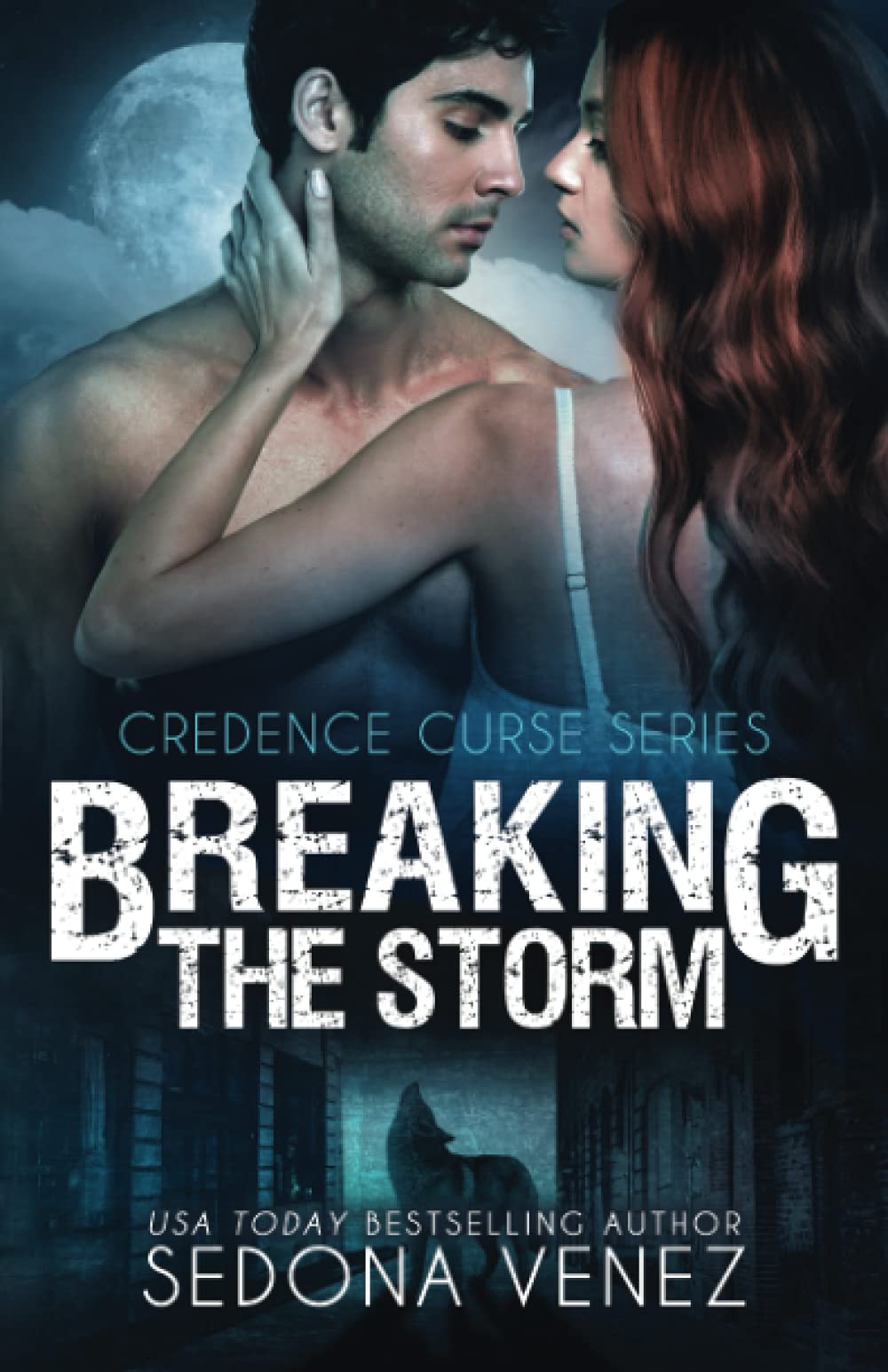Breaking the Storm (Credence Curse, Band 1)