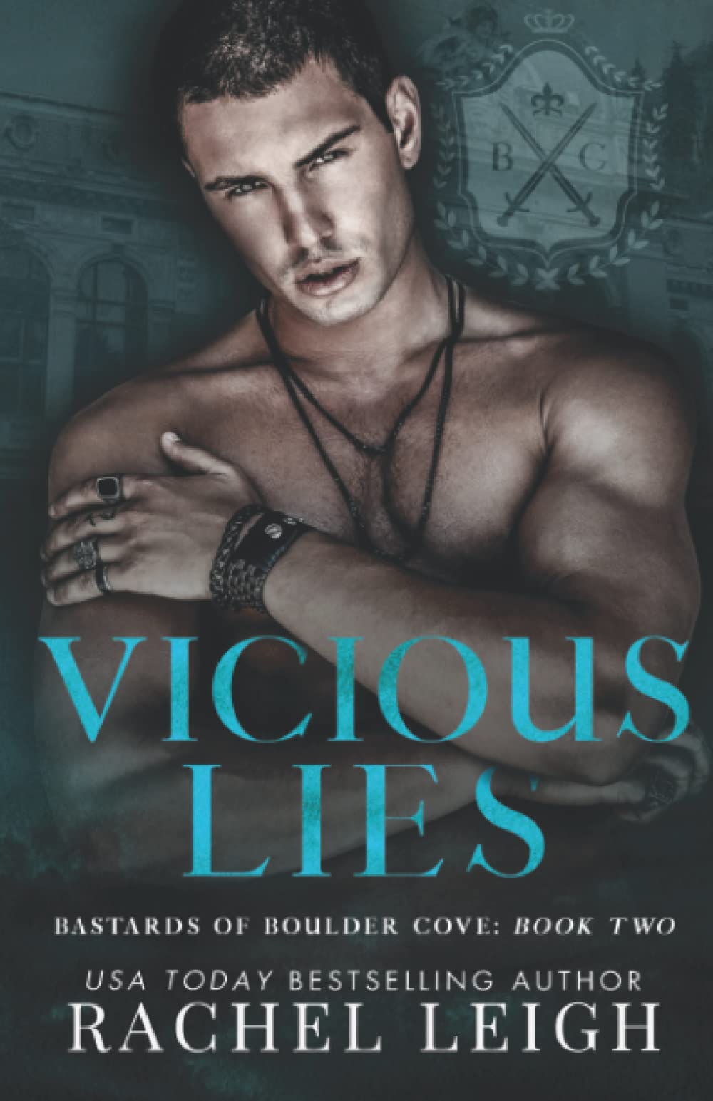 Vicious Lies: An Academy Romance (Bastards of Boulder Cove, Band 2)