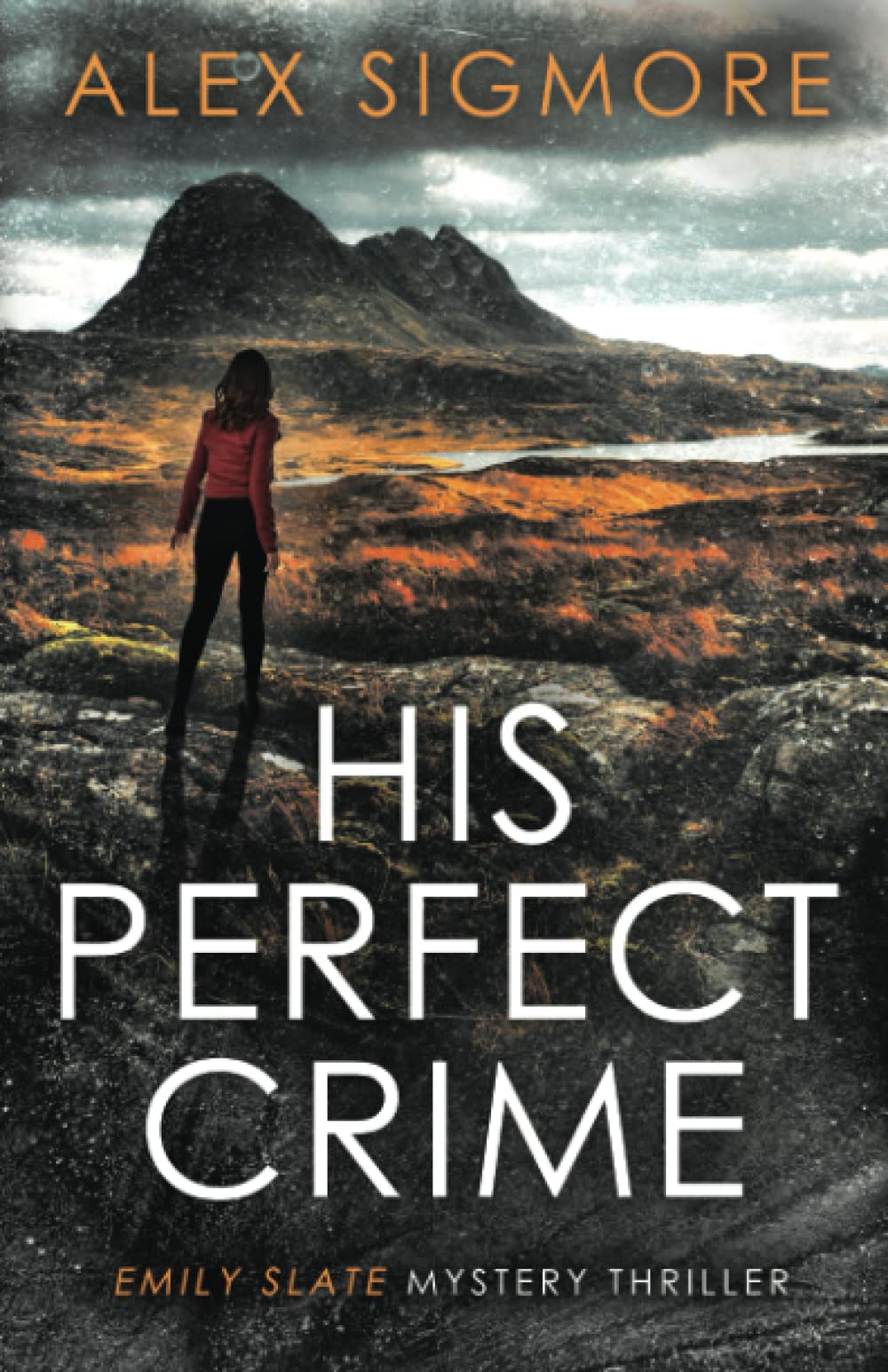 His Perfect Crime (Emily Slate FBI Mystery Thriller, Band 1)