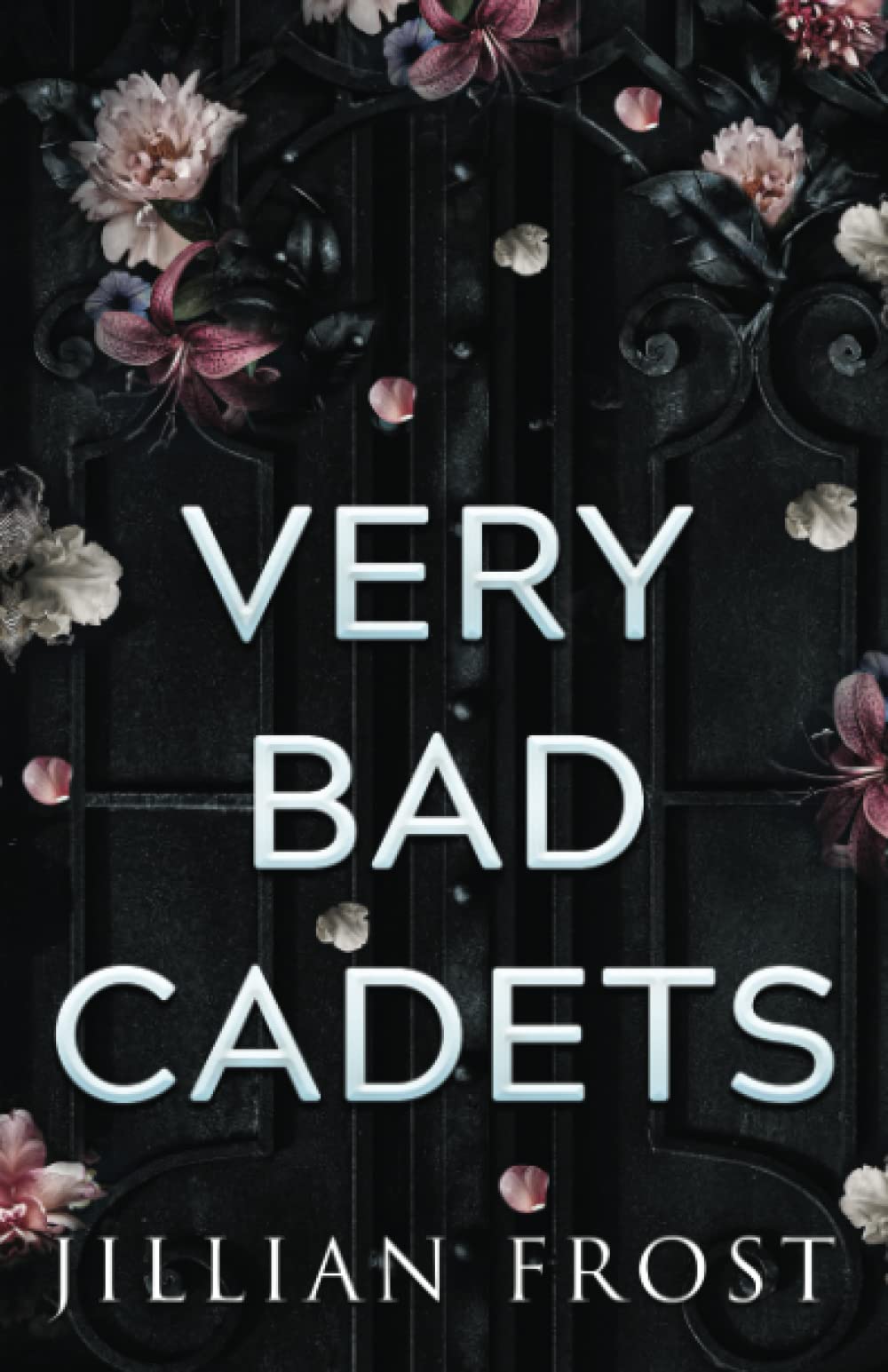 Very Bad Cadets (Ruthless Cadets, Band 2)