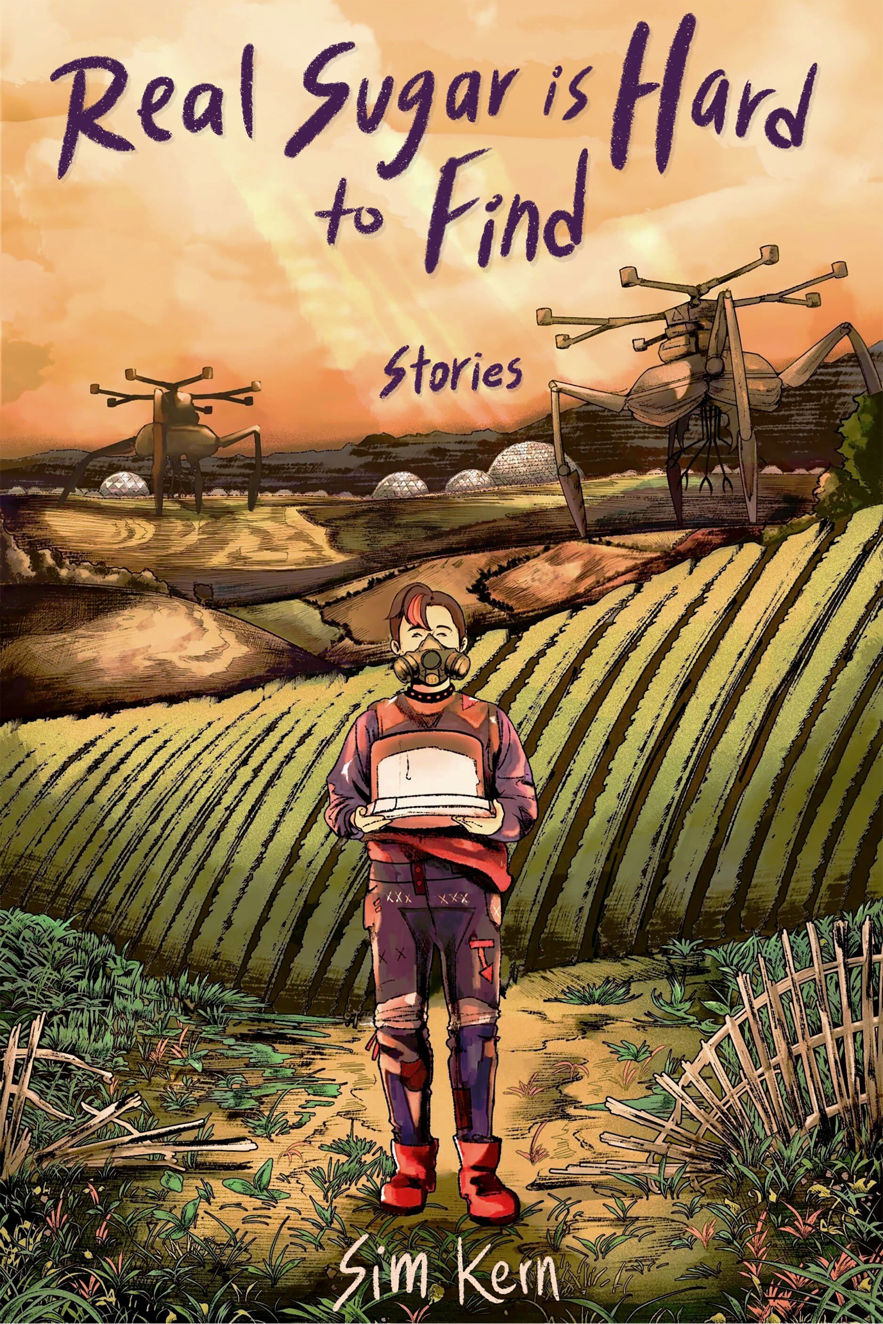 Real Sugar is Hard to Find: Stories: a collection of stories by