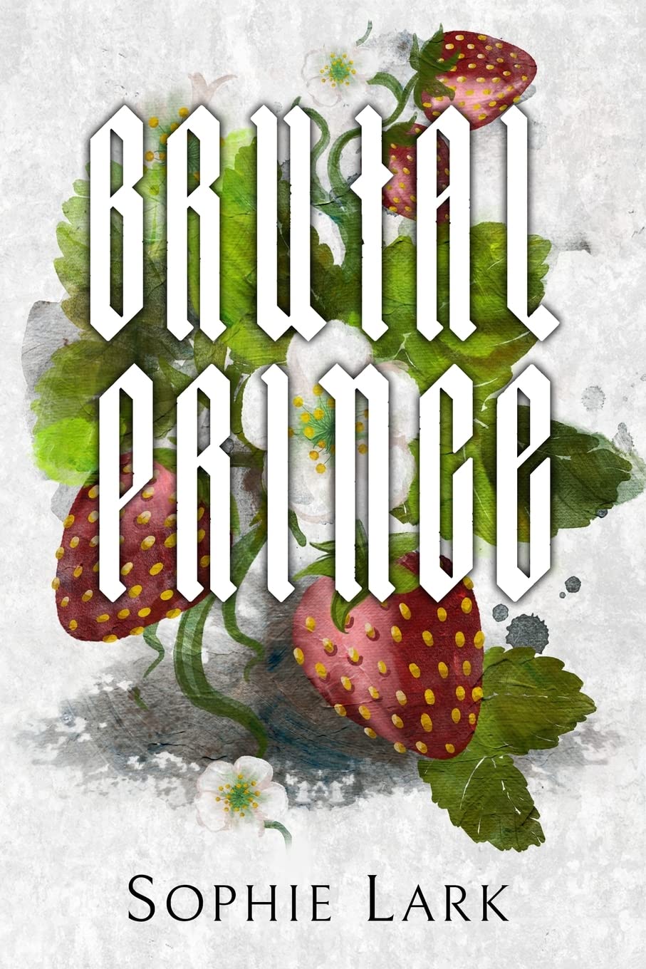 Brutal Prince: Illustrated Edition (Brutal Birthright, Band 1)