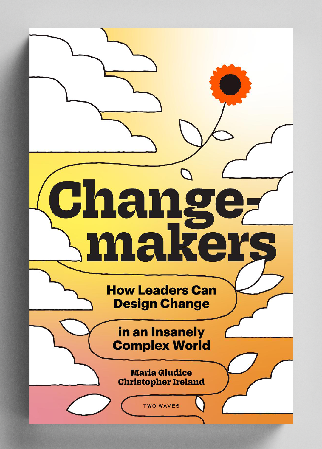 Changemakers: How Leaders Can Design Change in an Insanely Complex World
