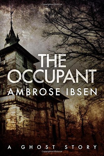 The Occupant (The Afterlife Investigations, Band 3)