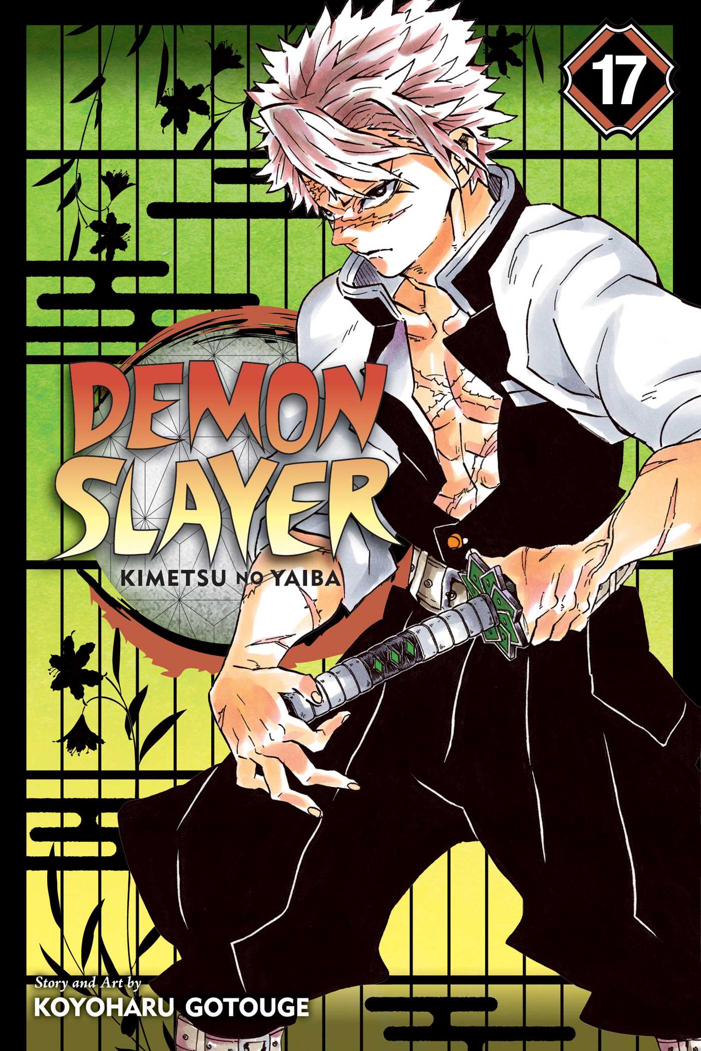 Demon Slayer: Kimetsu no Yaiba, Vol. 17 (DEMON SLAYER KIMETSU NO YAIBA GN, Band 17)