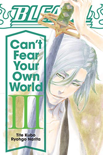 Bleach: Can't Fear Your Own World, Vol. 3 (BLEACH CANT FEAR YOUR OWN WORLD LIGHT NOVEL SC, Band 3)