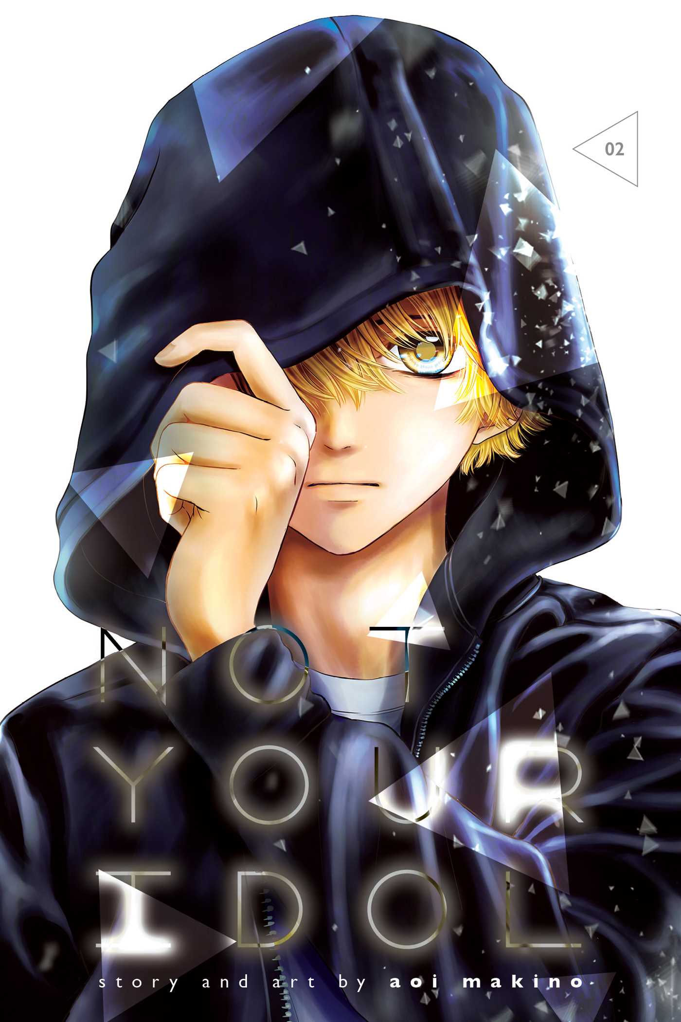 Not Your Idol, Vol. 2 (NOT YOUR IDOL GN, Band 2)