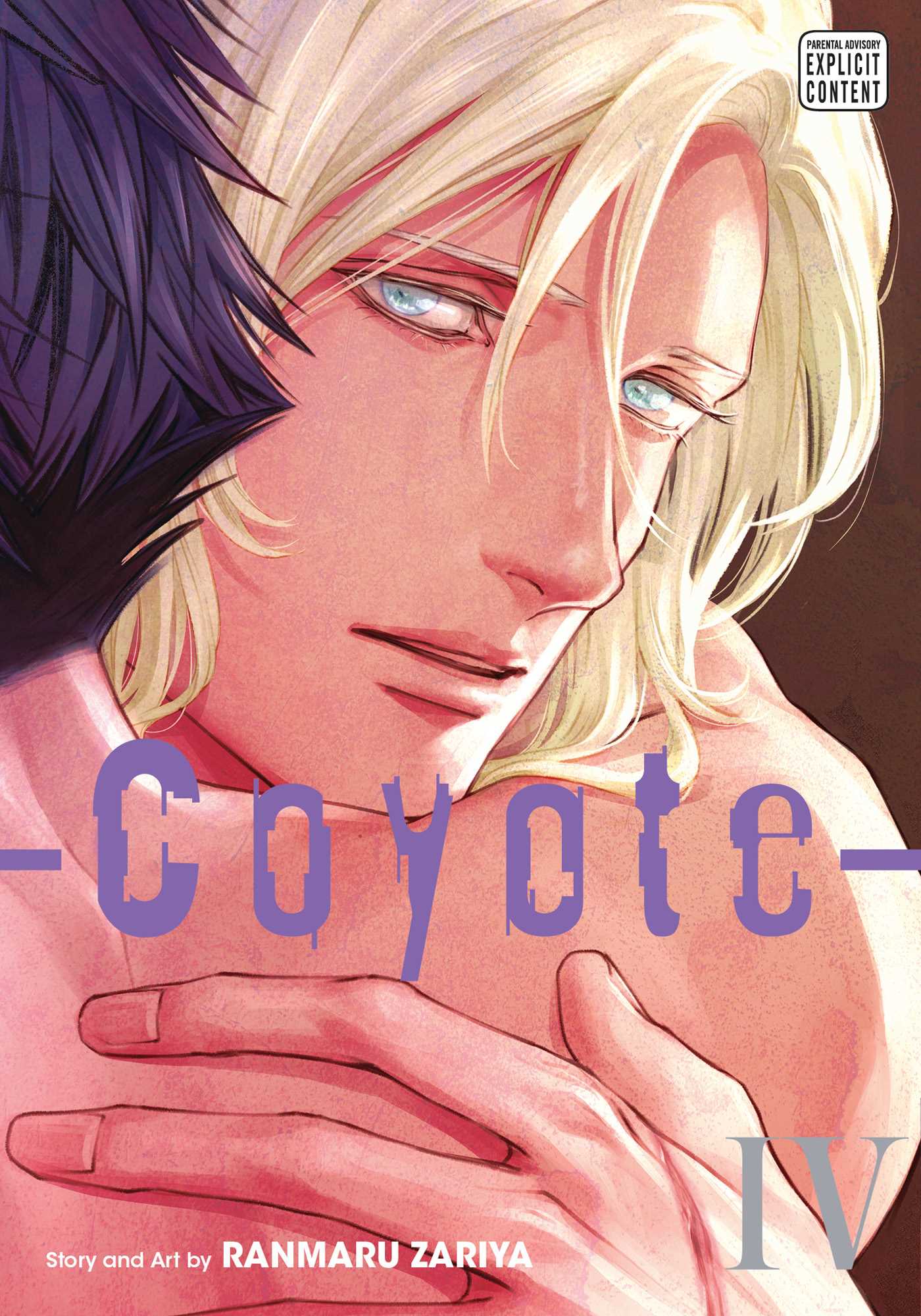 Coyote, Vol. 4 (Volume 4)