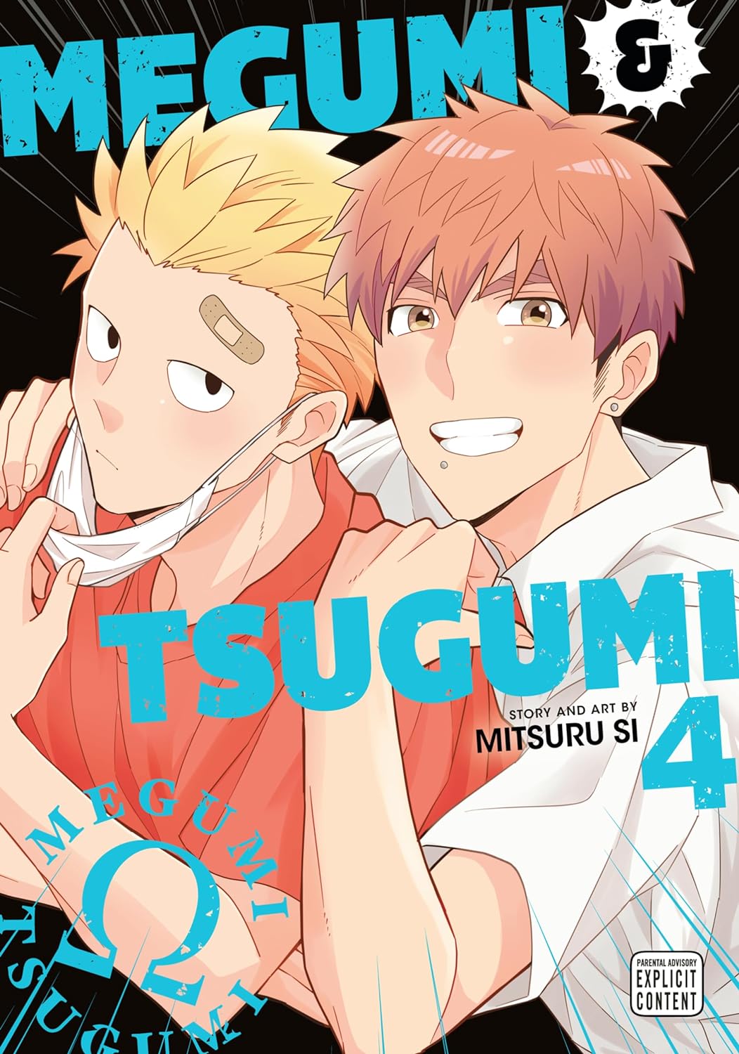 Megumi & Tsugumi, Vol. 4 (MEGUMI & TSUGUMI GN, Band 4)
