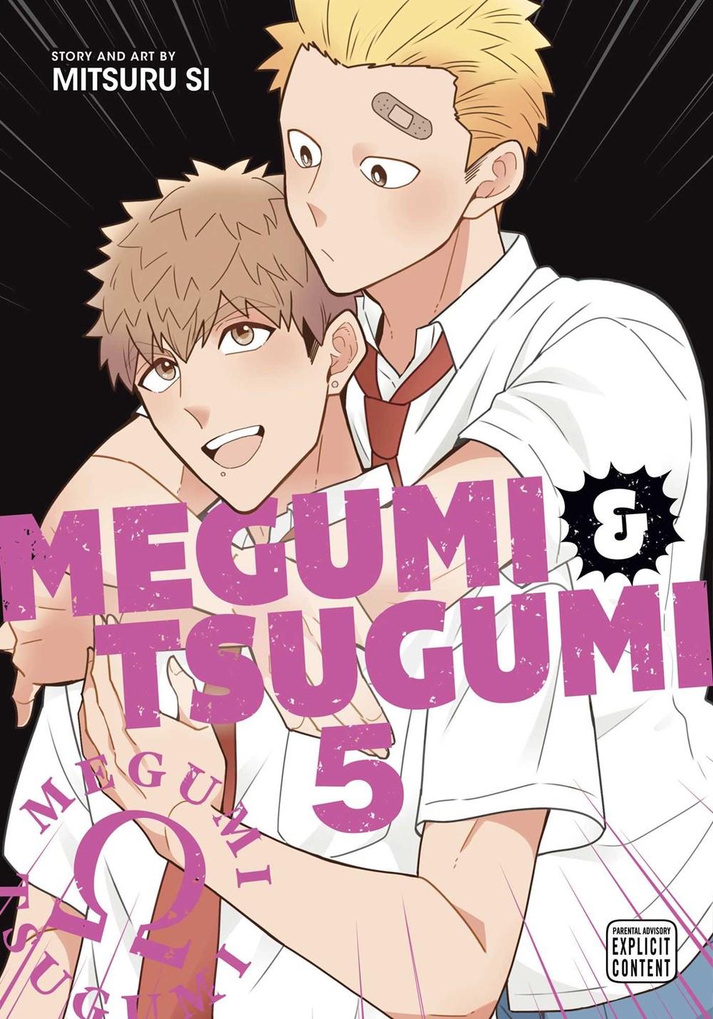 Megumi & Tsugumi, Vol. 5 (MEGUMI & TSUGUMI GN, Band 5)